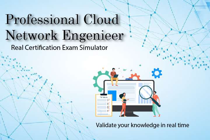 Simulator Professional-Cloud-Network-Engineer